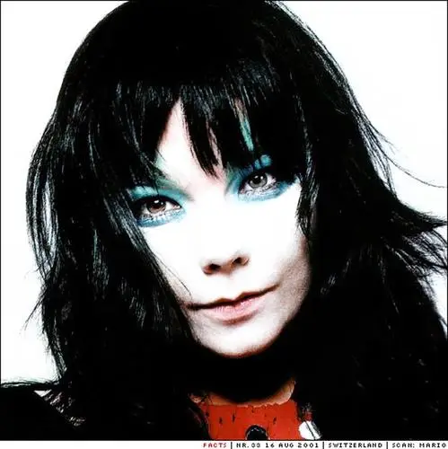 Bjork Protected Face mask - idPoster.com
