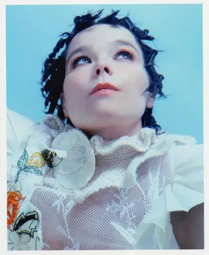 Bjork Wall Poster picture 63056