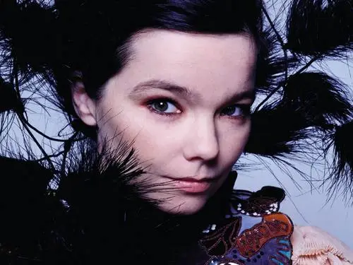 Bjork Wall Poster picture 78516