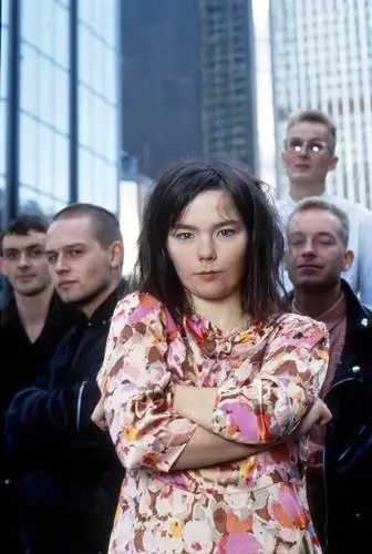 Bjork Wall Poster picture 808875