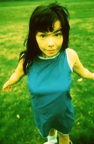 Bjork Wall Poster picture 912693