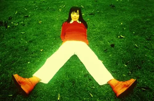 Bjork Wall Poster picture 912698