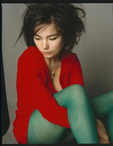 Bjork Wall Poster picture 912701