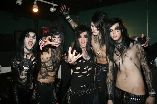 Black Veil Brides Wall Poster picture 113885