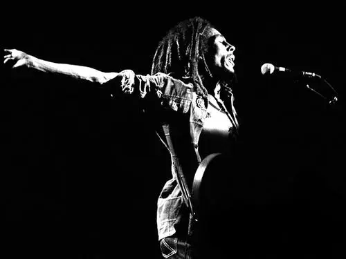 Bob Marley Fridge Magnet picture 156364