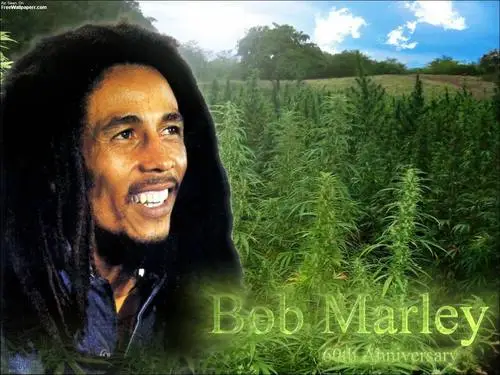 Bob Marley Kitchen Apron - idPoster.com