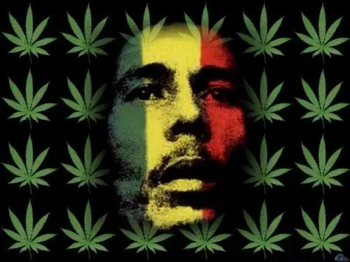 Bob Marley Fridge Magnet picture 156426