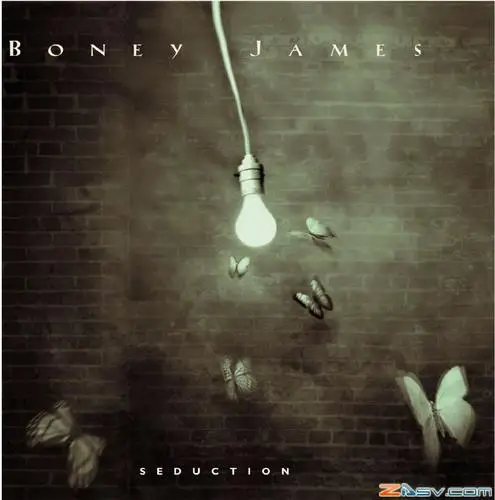Boney James Drawstring Backpack - idPoster.com