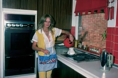 Bonnie Tyler Kitchen Apron - idPoster.com