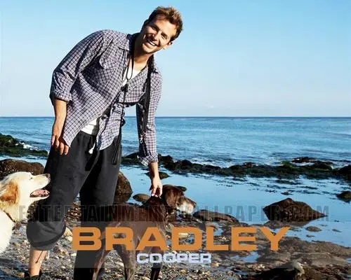 Bradley Cooper Wall Poster picture 214159