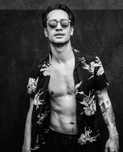 Brendon Urie Wall Poster picture 924377