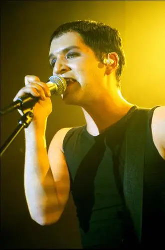 Brian Molko Wall Poster picture 29888
