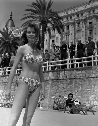 Brigitte Bardot Computer MousePad picture 571822
