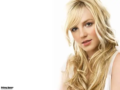 Britney Spears Fridge Magnet picture 128718