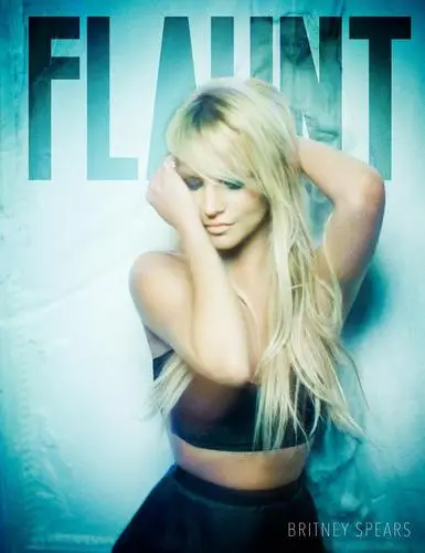 Britney Spears Fridge Magnet picture 575999
