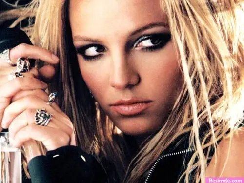 Britney Spears Fridge Magnet picture 84212