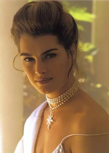 Brooke Shields Wall Poster picture 203082