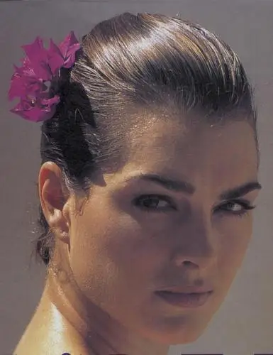 Brooke Shields Wall Poster picture 203086