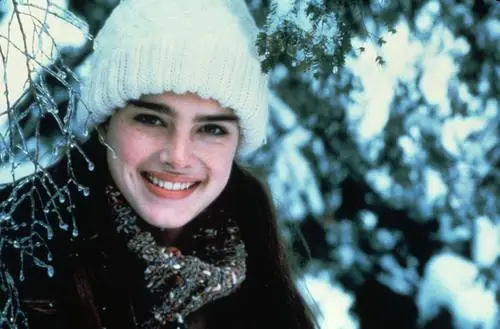 Brooke Shields Wall Poster picture 577003