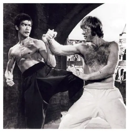 Bruce Lee Jigsaw Puzzle picture 572613