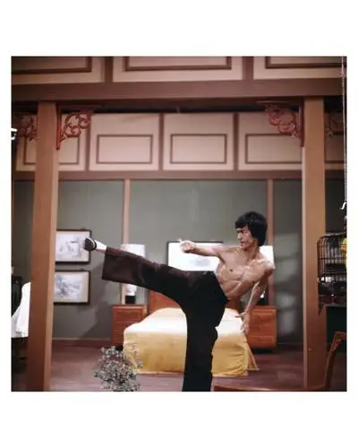 Bruce Lee Jigsaw Puzzle picture 572616