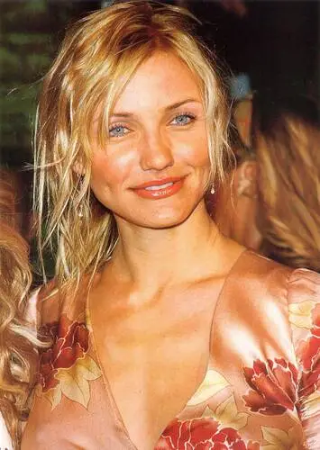 Cameron Diaz Wall Poster picture 30396