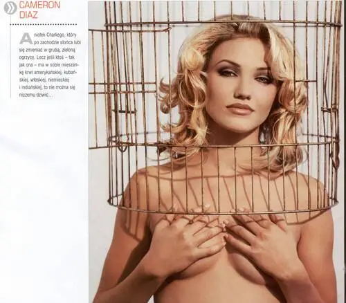 Cameron Diaz Wall Poster picture 30404
