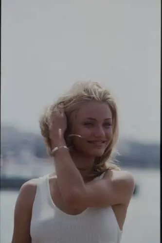 Cameron Diaz Wall Poster picture 580114