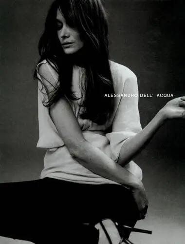 Carla Bruni Wall Poster picture 30450