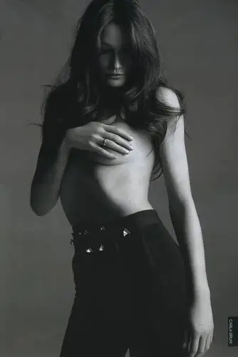 Carla Bruni Wall Poster picture 4189