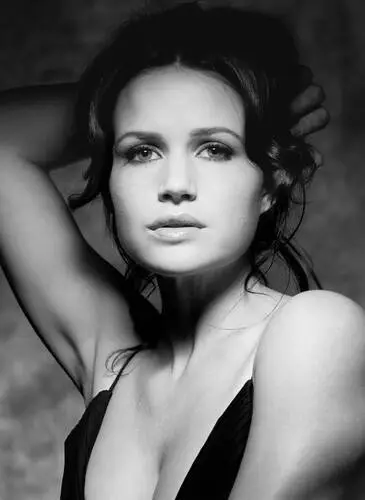Carla Gugino Wall Poster picture 60042