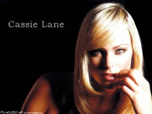 Cassie Lane Fridge Magnet picture 94958