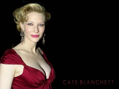 Cate Blanchett Kitchen Apron - idPoster.com