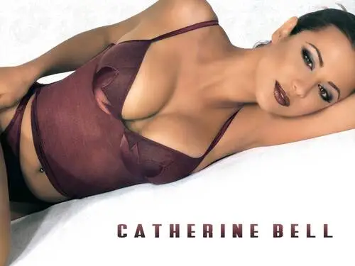 Catherine Bell Wall Poster picture 129512