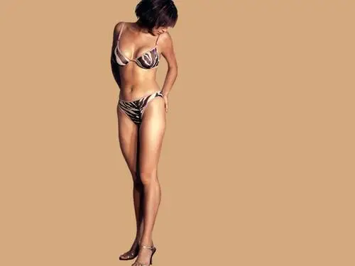 Catherine Bell Jigsaw Puzzle picture 30758