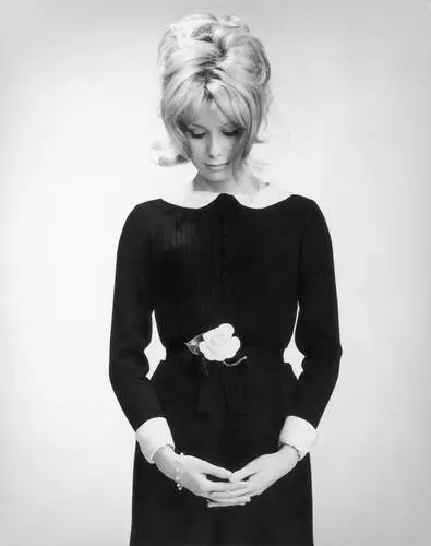 Catherine Deneuve Wall Poster picture 275993