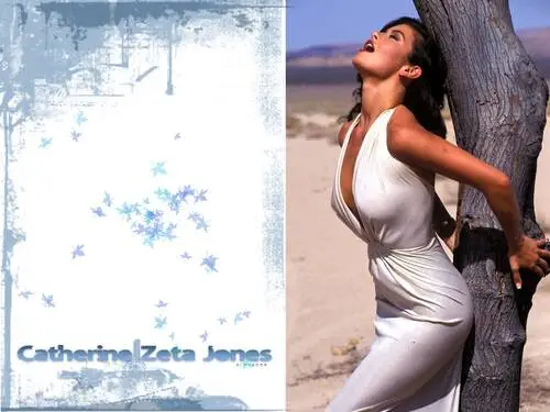 Catherine Zeta-Jones White Tank-Top - idPoster.com