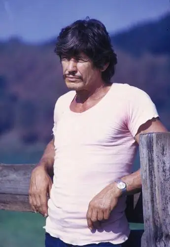 Charles Bronson Jigsaw Puzzle picture 75084