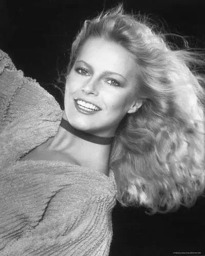Cheryl Ladd Wall Poster picture 276499