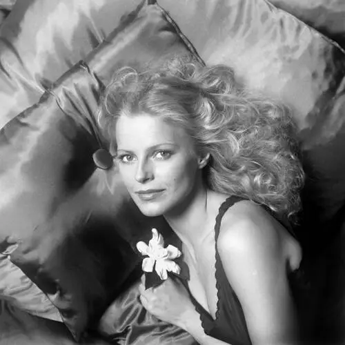 Cheryl Ladd Wall Poster picture 276526