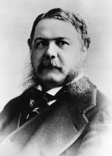 Chester Alan Arthur Wall Poster picture 478275