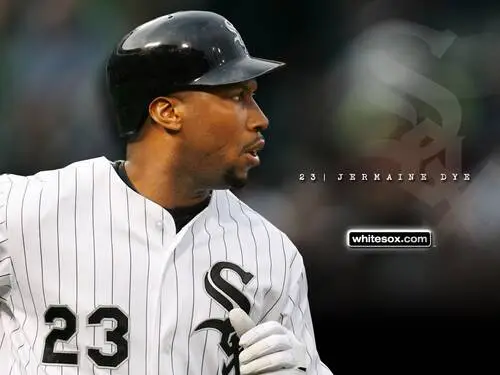 Chicago White Sox Jigsaw Puzzle picture 58718