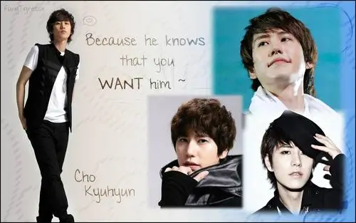Cho Kyu-hyun Wall Poster picture 213552