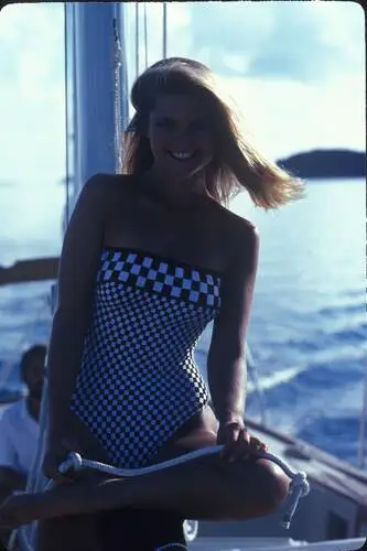 Christie Brinkley Wall Poster picture 230859