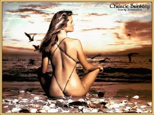 Christie Brinkley Wall Poster picture 92319