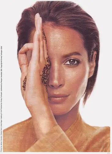 Christy Turlington Wall Poster picture 63517