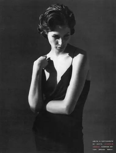 Christy Turlington Wall Poster picture 71260