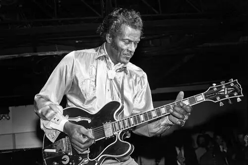 Chuck Berry Jigsaw Puzzle picture 950291