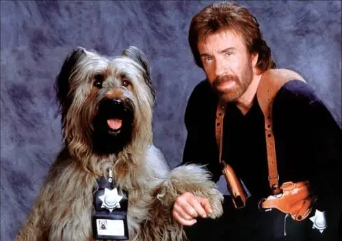 Chuck Norris Jigsaw Puzzle picture 75003