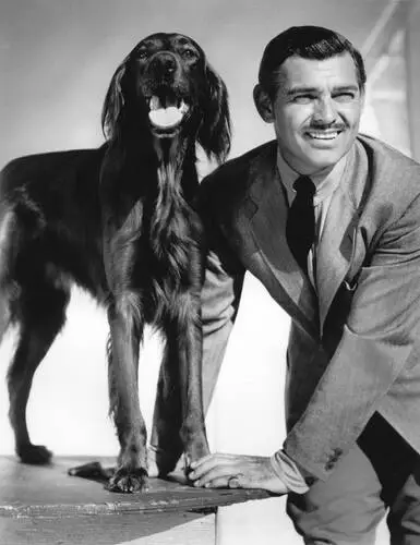 Clark Gable Wall Poster picture 279428